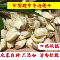 今年新貨特級建寧蓮子半邊蓮純手工白蓮子無芯去心白蓮500克干貨