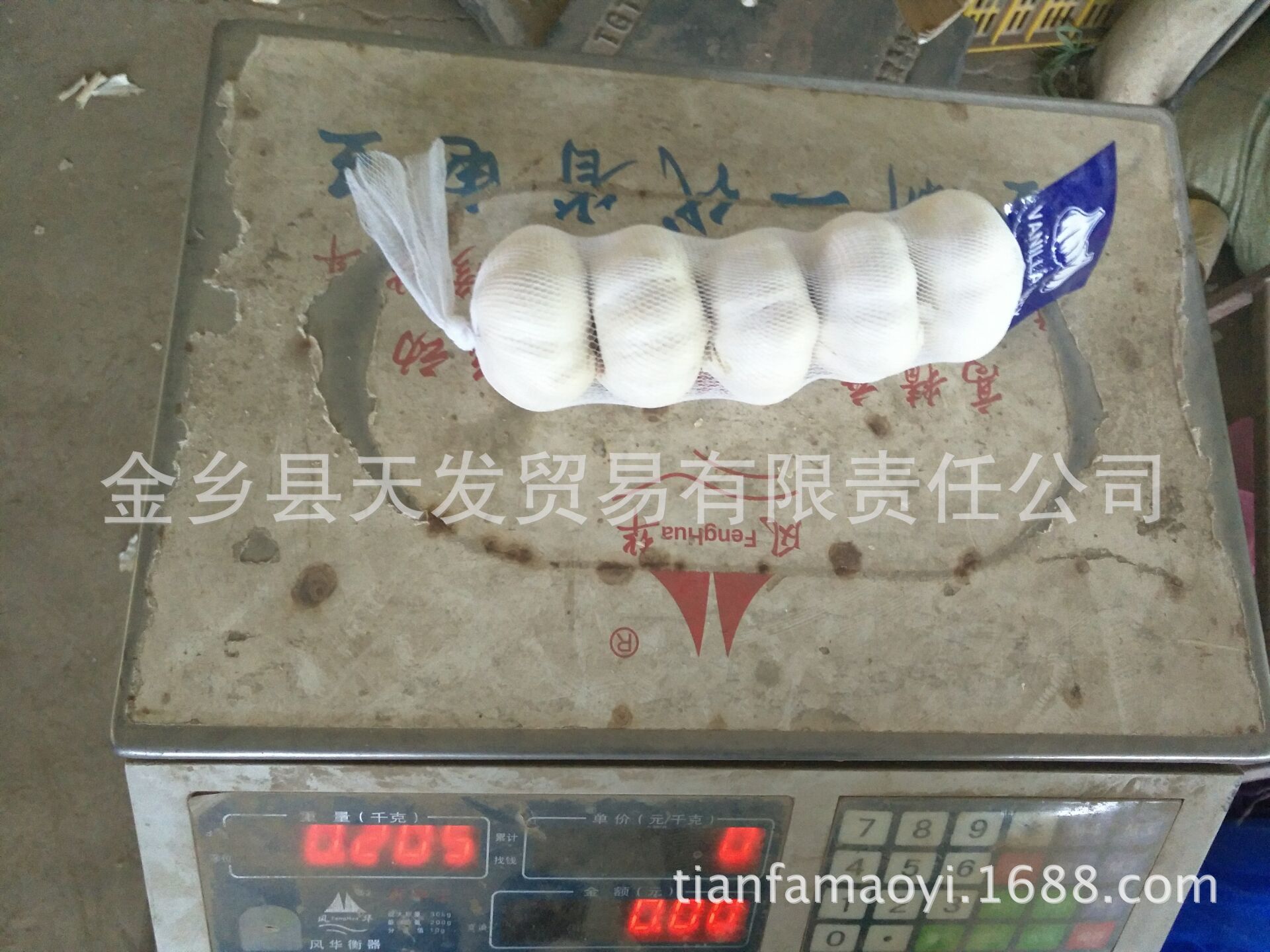 純白大蒜
