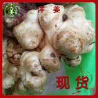 洋姜 新鮮 鬼子姜 姜不辣胰島果 菜姜 菊芋 甜姜旱姜洋姜可做種子