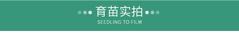 內(nèi)頁2_11.jpg