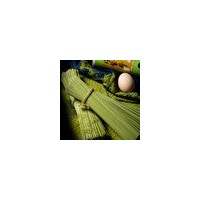 正中苦蕎苗芽全株掛面500克大涼山特色農(nóng)產(chǎn)品待煮掛面拌面