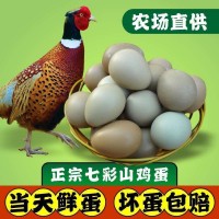【野雞蛋】正宗七彩山雞蛋農(nóng)家散養(yǎng)土雞蛋笨柴雞蛋禮盒裝整箱批發(fā)