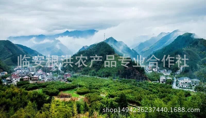 微信圖片_20170525202707