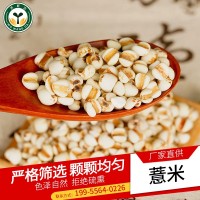 岳西產(chǎn)地小薏米優(yōu)質(zhì)薏仁米農(nóng)產(chǎn)品薏苡仁散裝薏米粗糧批發(fā)