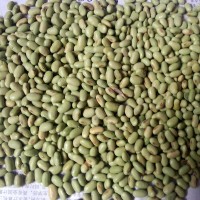 100斤/袋雙青豆、綠黑豆、綠皮綠仁黑豆.芽菜豆、豆芽豆、腰形豆