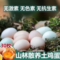 太仆土雞蛋散養(yǎng)農(nóng)場(chǎng)新鮮月子蛋正宗草雞柴雞笨雞蛋