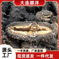 國標(biāo)大連淡干干貨海參50g批發(fā)食用廠家一手野生遼參禮盒 裝包郵