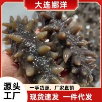 高壓即食海參批發(fā)海參粥高營養(yǎng)遼參工廠直營參刺粗壯鮮貨供應(yīng)500g