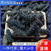 大連（參半島）淡干海參底播海參頂火拉缸鹽海參20—60T