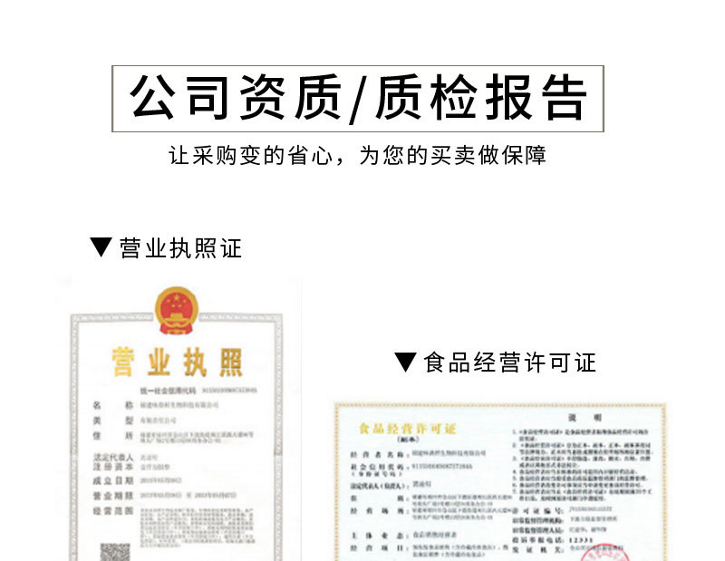 福建海參