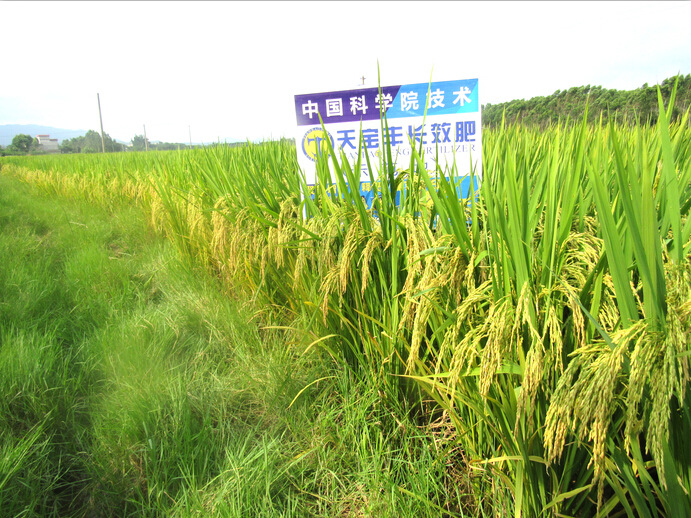 廣2