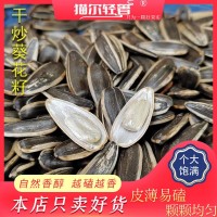 干炒瓜子內(nèi)蒙大瓜子原味散貨葵花籽250克