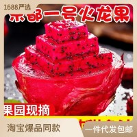 源頭供應(yīng)金都一號紅心火龍果新鮮水果包郵一件代發(fā)
