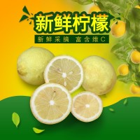 安岳新鮮檸檬電商專供小果皮薄多汁手打檸檬茶專用果5斤整箱包郵