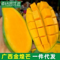 卓恬園 廣西金煌芒 新鮮現(xiàn)摘芒果熱帶水果孕婦 青皮芒果非大青芒