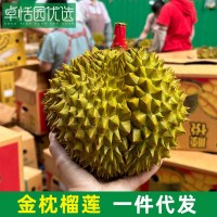 卓恬園 泰國金枕榴蓮 應(yīng)季新鮮時(shí)令香甜軟糯熱帶水果 核小肉多