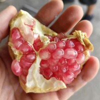 批發(fā)攀枝花甜紅石榴軟籽石榴多斤裝新鮮石榴包郵當季整箱一件代發(fā)