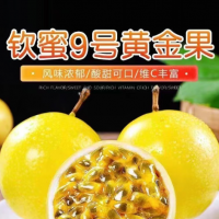 福建欽蜜9號黃金百香果新鮮包郵5斤大果醬檸檬百香果原漿水果整箱