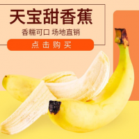 福建漳州天寶精品香蕉農(nóng)家現(xiàn)摘當(dāng)季無公害新鮮水果香蕉banana