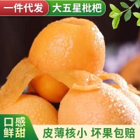 一件代發(fā)四川新鮮枇杷攀枝花米易草場當季水果枇杷新鮮五星枇杷