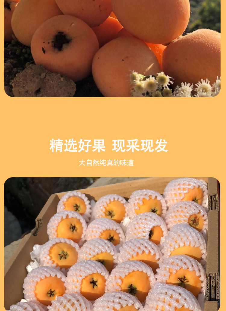 詳情頁_05.jpg