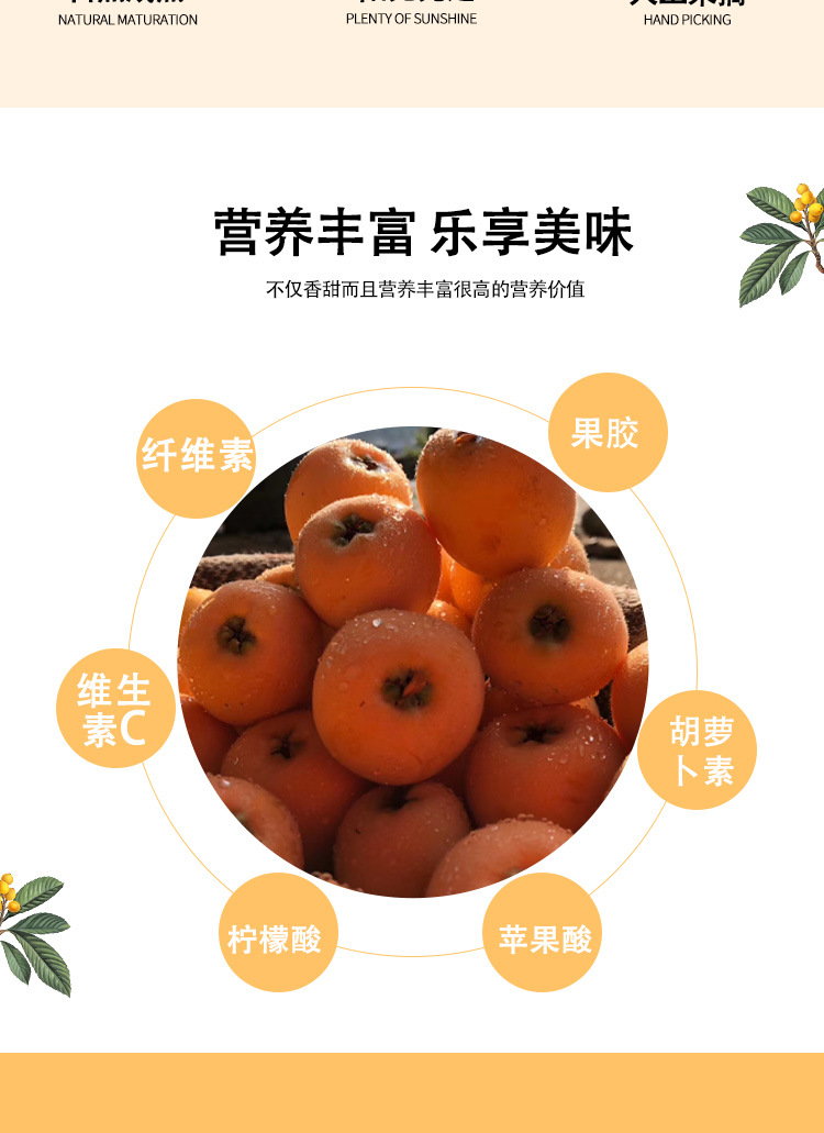 詳情頁_03.jpg