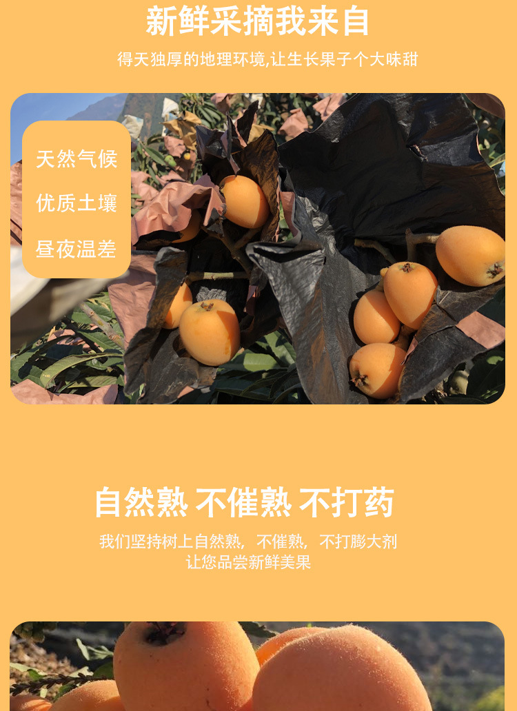 詳情頁_04.jpg