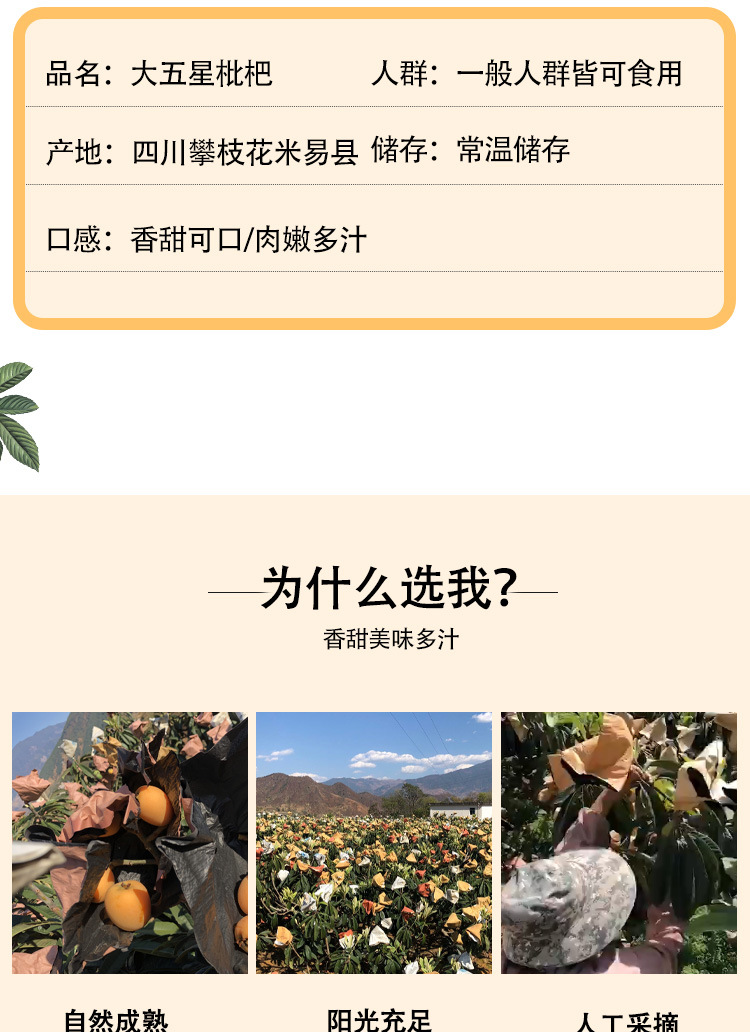 詳情頁_02.jpg