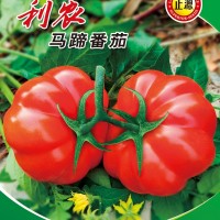 一級和利農(nóng)沙瓤西紅柿種孑番茄種子草莓圣女果籽盆栽蔬菜苗大全