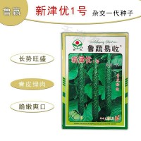 黃瓜種子高產(chǎn)春夏秋季耐熱綠瓢密刺黃瓜種籽庭院四季陽臺蔬菜種子