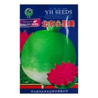 心里美蘿卜種子滿堂紅水果蘿卜種籽菜種子滿膛紅菜種四季蔬菜種孑
