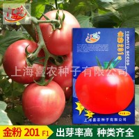 金粉201粉果番茄西紅柿蔬菜種子 大棚陽臺庭院盆栽果蔬種子批發(fā)