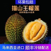 貓山王榴蓮 (D197)馬來西亞進(jìn)口帶殼榴蓮新鮮肉液氮冷凍順豐批發(fā)