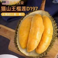 馬來西亞進(jìn)口帶殼貓山王榴蓮 (D197)榴蓮新鮮肉液氮冷凍順豐批發(fā)