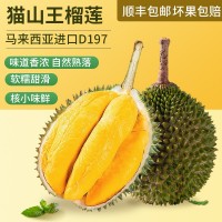 貓山王榴蓮D197液氮冷凍榴蓮批發(fā)馬來西亞進(jìn)口正宗水果順豐包郵