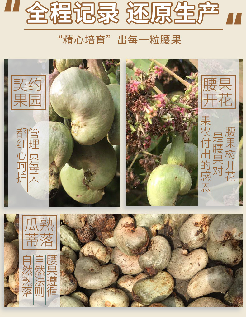 0-改版-鹽焗腰果-匯總_11.jpg