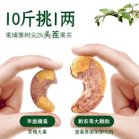 新農(nóng)哥大顆粒紫衣腰果500g原味鹽焗帶皮腰果仁批發(fā)罐裝堅(jiān)果零食
