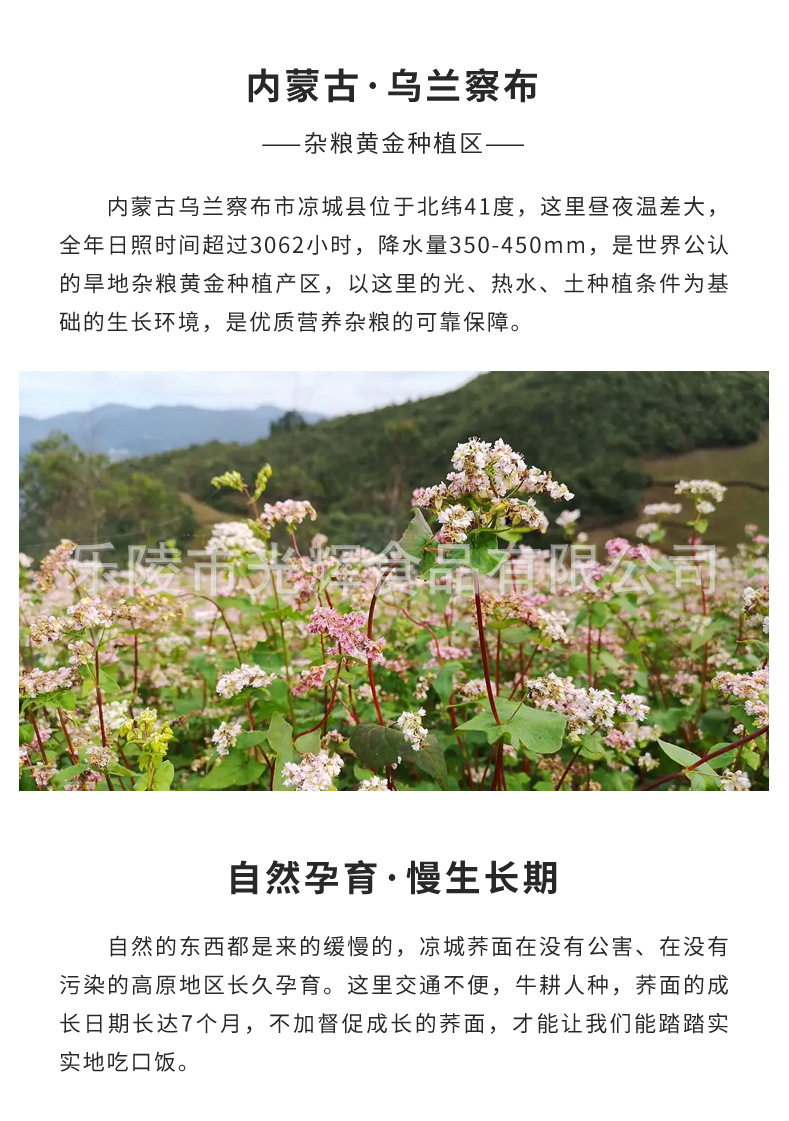 詳情3.jpg