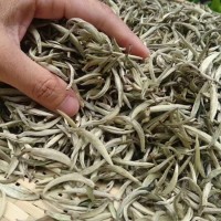 2023年新茶花香白毫銀針 花香白茶美人白毫香500g散裝茶葉批發(fā)