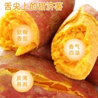 紅薯批發(fā)香甜可口濟薯26沙地紅薯自種商用紅薯基地新鮮現(xiàn)挖蜜薯