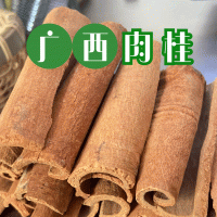 桂皮批發(fā) 產(chǎn)地貨源現(xiàn)貨批發(fā)廣西肉桂足干桂皮調(diào)味香辛鹵料