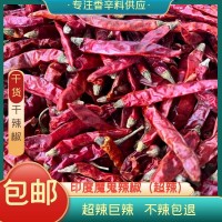 現(xiàn)貨批發(fā)印度魔鬼辣椒S17干辣椒超辣魔鬼辣變態(tài)辣麻辣火鍋底料