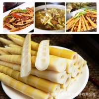 江西竹筍新鮮小竹筍火鍋筍食材蔬菜冬筍春筍尖批發(fā)500克一件代發(fā)