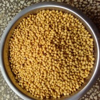 湖南黃豆產(chǎn)地低價批發(fā)農(nóng)家特產(chǎn)黃豆五谷雜糧散裝大豆黃豆量大價優(yōu)