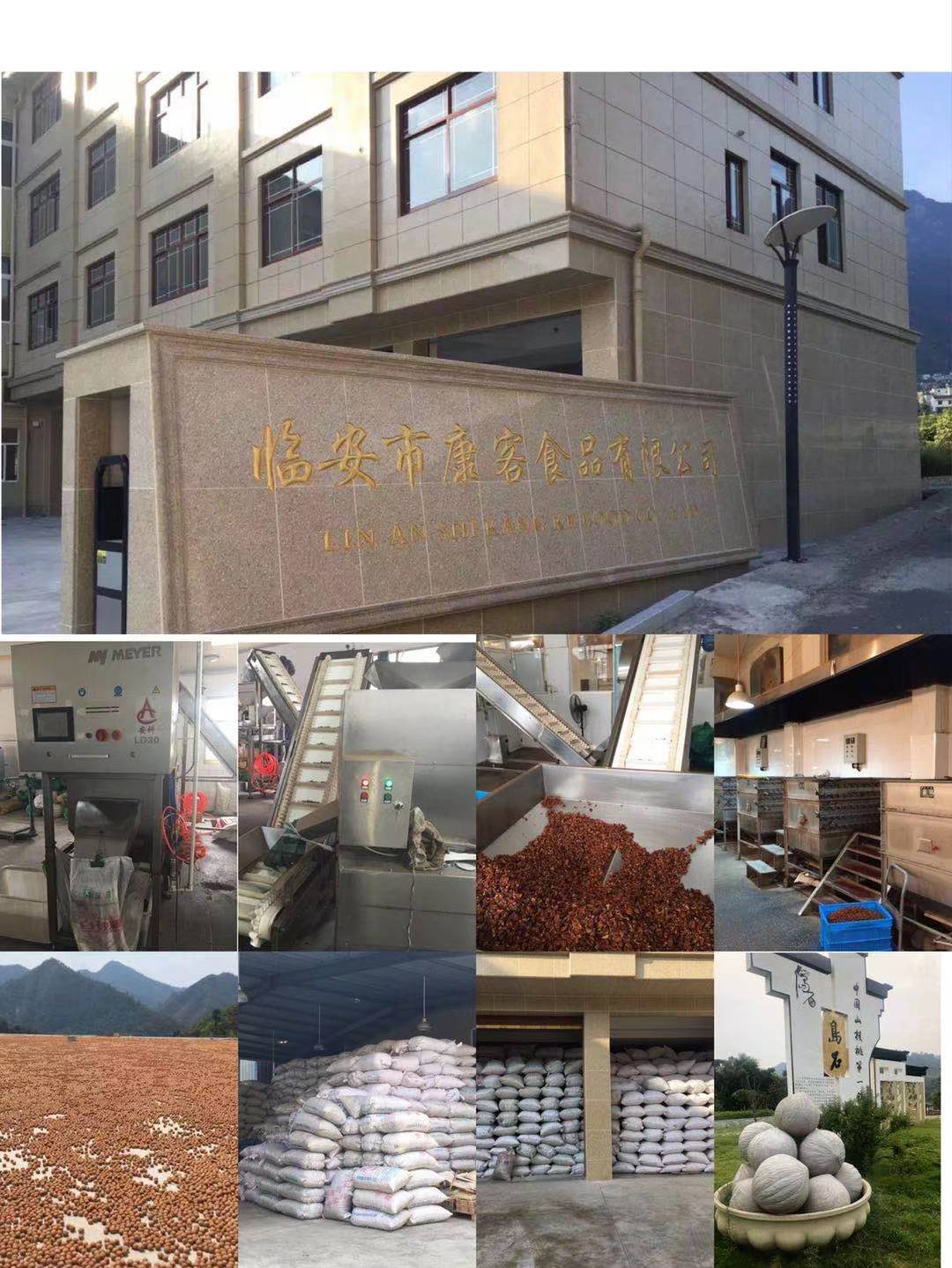 公司實(shí)拍圖2