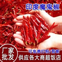 印度椒s17干辣椒段香辣干貨紅辣椒特辣炒菜廠家批發(fā)魔鬼辣干辣椒