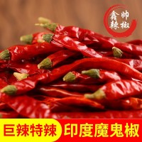 產地貨源印度椒魔鬼椒干紅辣椒巨辣特辣火鍋餐飲香鍋原材料500g