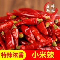 產地貨源小米辣滿天星七星椒干紅辣椒特辣特香火鍋餐飲原材料500g