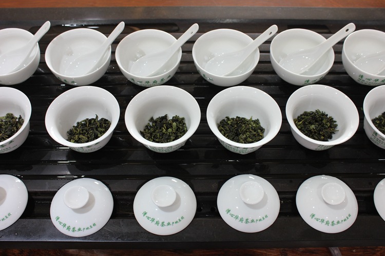 青茶韻香型正味清香口味蘭花香鐵觀音茶葉