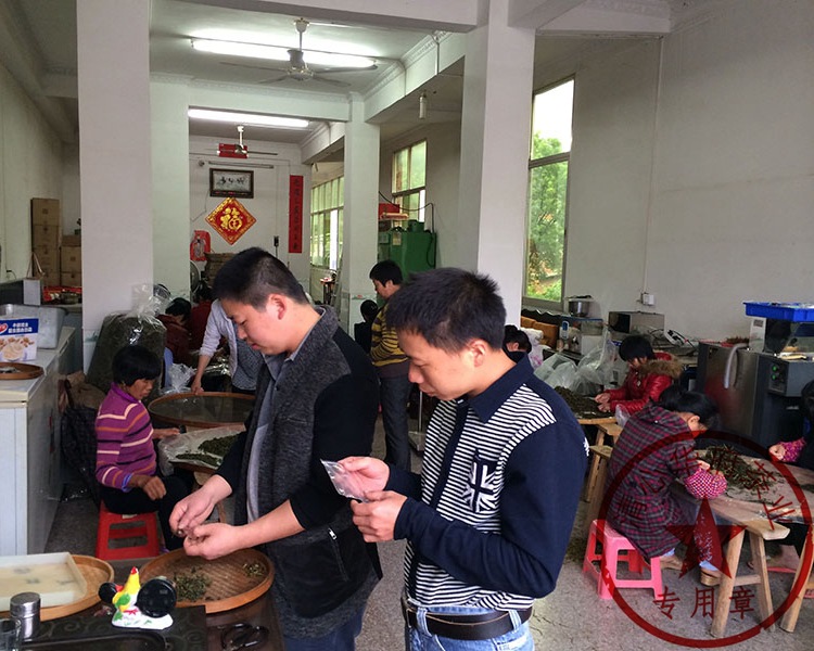 青茶韻香型正味清香口味蘭花香鐵觀音茶葉